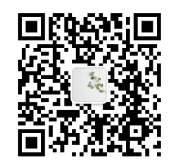 杭州石榴视频科技有（yǒu）限（xiàn）公司